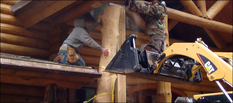 Log Home Log Replacement  Delaware County, Ohio